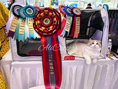 qms5.jpg