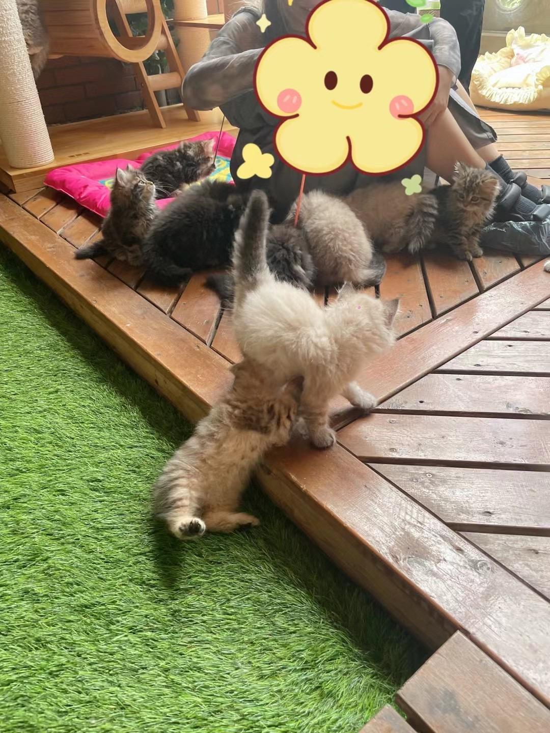 家长反馈