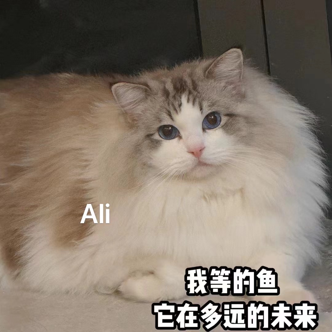 微信图片_20240708104621.jpg