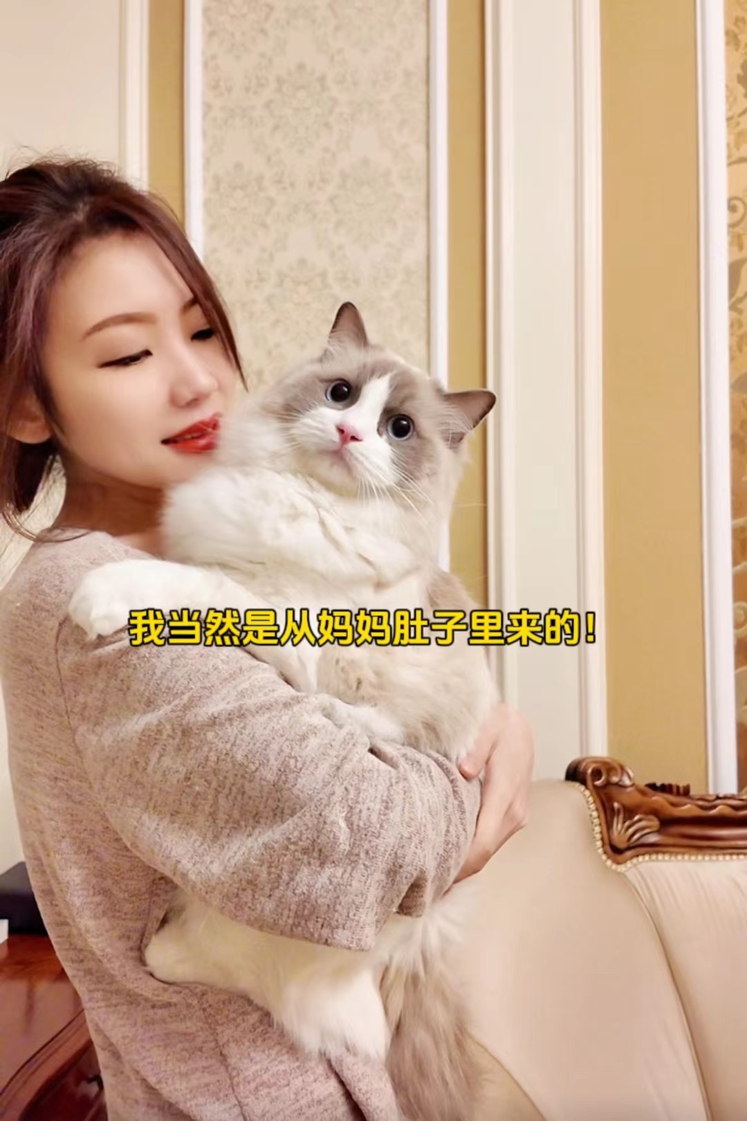 微信图片_20240708104638.jpg