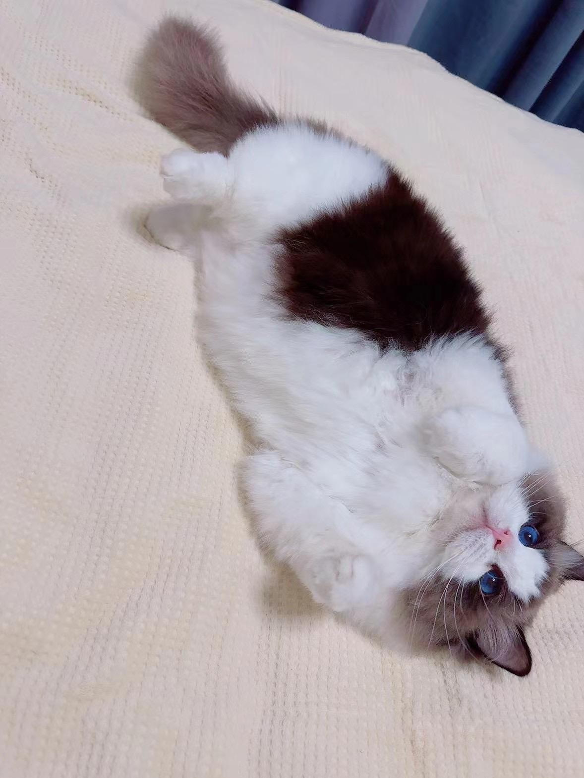 家长反馈