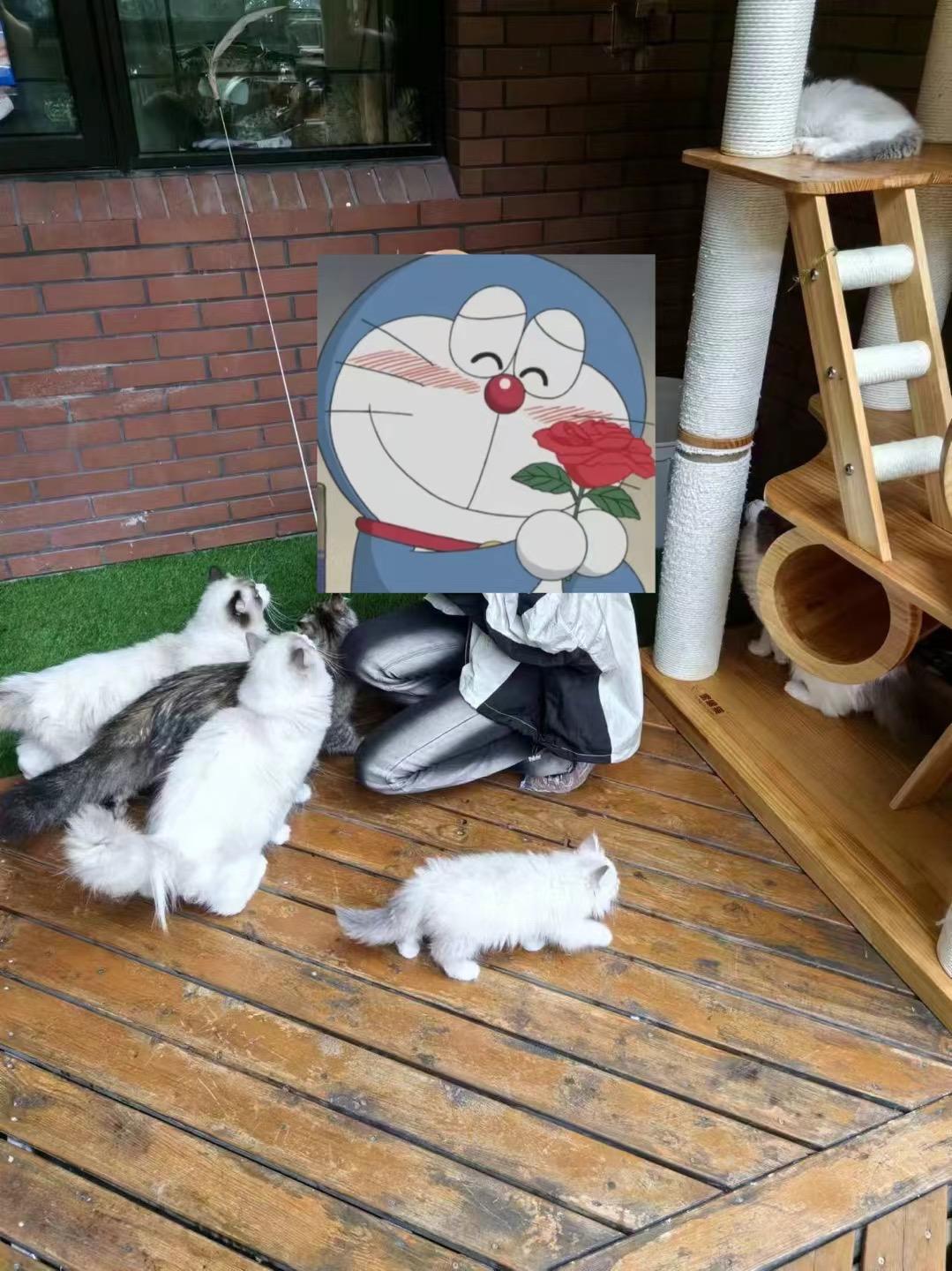 家长反馈